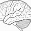Image result for Brain Icon Transparent