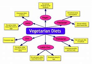 Image result for Vegetarian Diet Types