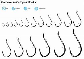 Image result for Fly Fishing Hook Chart Actual Size