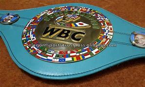 Image result for Classic WWF Championship Belts