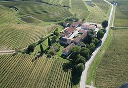 Image result for Conte d'Attimis Maniago Tazzelenghe