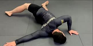 Image result for Jiu Jitsu Workout