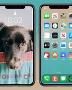Image result for Dog within iPhone Image