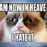 Image result for Savage Grumpy Cat Memes