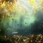 Image result for Underwater Marine Life Real Photo