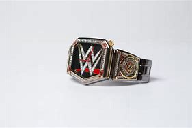 Image result for WWE Infinifan Watch