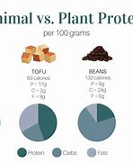 Image result for Animal Differences Vegan