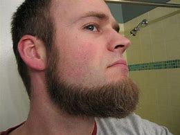 Image result for Beard Styles without Mustache