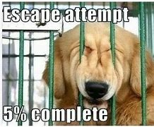Image result for Escape From the City Meme