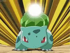 Image result for Bulbasaur Fighting