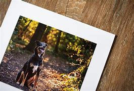 Image result for Mounted 4X6 Prints