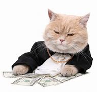 Image result for Money Fat Cat Meme