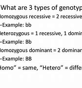 Image result for What Is a Homozygous