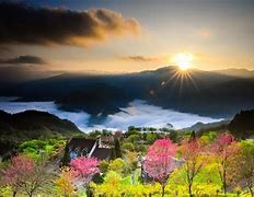 Image result for Dongsheng Cai Nature