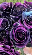 Image result for Pretty Galaxy Rose