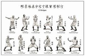 Image result for Chinese Martial Arts Fighting Techniques
