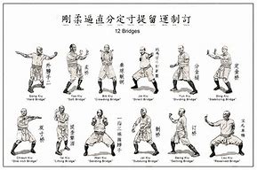 Image result for Martial Arts Fighting