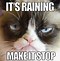 Image result for Sunshine Meme and Raining