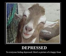 Image result for The Long Goat Meme