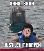 Image result for Boto Dolphin Meme