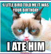 Image result for Happy Birthday Funny Animal Memes