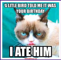 Image result for Funny Cat Meme Fbirthday