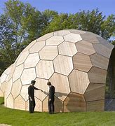 Image result for geodesic domes