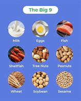 Image result for Allergenic Foods