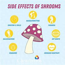 Image result for Effects of Magic Mushrooms