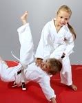 Image result for Girl Doing Karate