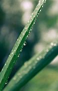 Image result for Dew Point Corrosion