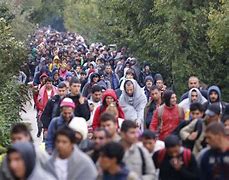 Image result for Trail of Migrants