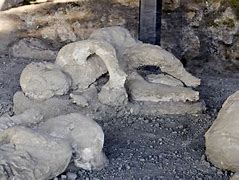 Image result for Pompeii Children