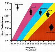 Image result for BMI Percentile