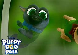 Image result for Puppy Tales Bob