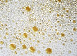 Image result for Bubbly Champagne Bubbles