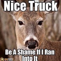 Image result for Deer and Car Memes