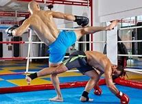Image result for Kick Boxing Equipment