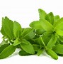 Image result for Stevia Leaf Vanilla Bean