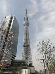 Image result for Japan Crimal City