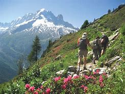 Image result for Mont Blanc Circuit