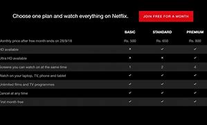 Image result for Netflix Subscription Charges in India