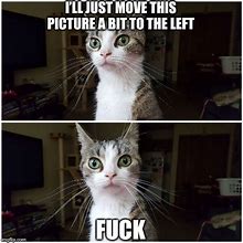 Image result for Funny Surprised Cat Meme