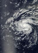 Image result for Tropical Storm Debby