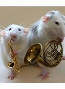 Image result for Funny Mouse Pics