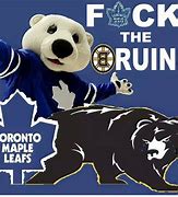 Image result for Toronto Maple Leafs Funny