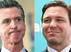 Image result for Gavin Newsom not running