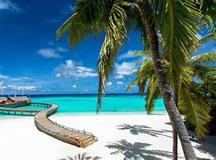 Image result for Maldives Island