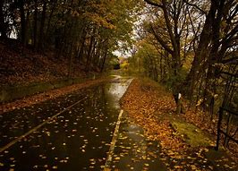 Image result for Rainy Autumn Day