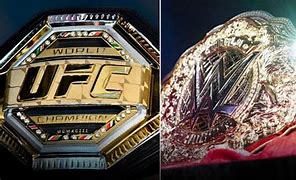 Image result for WWE Wrestling and MMA UFC